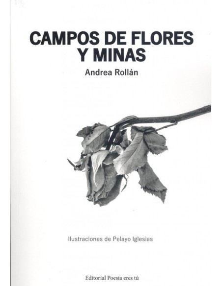 CAMPOS DE FLORES Y MINAS