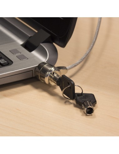 EW1242 cable antirrobo Negro, Acero inoxidable 1,5 m