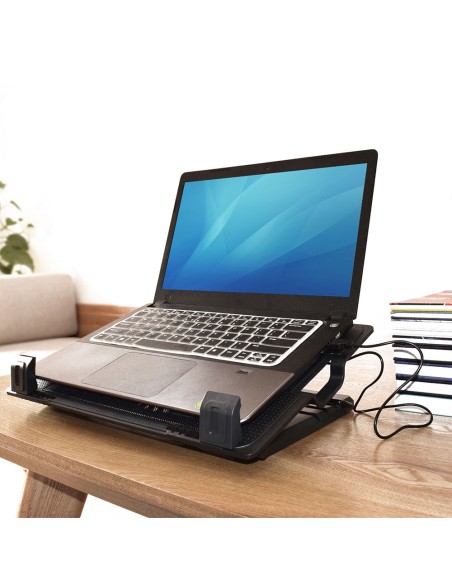 EW1258 almohadilla fría 43,2 cm (17") 1000 RPM Negro