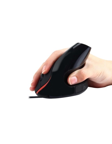 EW3156 ratón USB tipo A Óptico 1000 DPI EW3156 ratón USB tipo A Óptico 1000 DPI