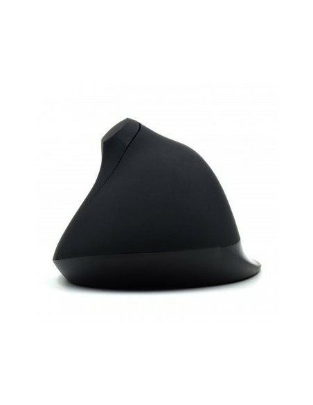 EW3157 ratón mano derecha USB tipo A Óptico 1800 DPI EW3157 ratón mano derecha USB tipo A Óptico 1800 DPI