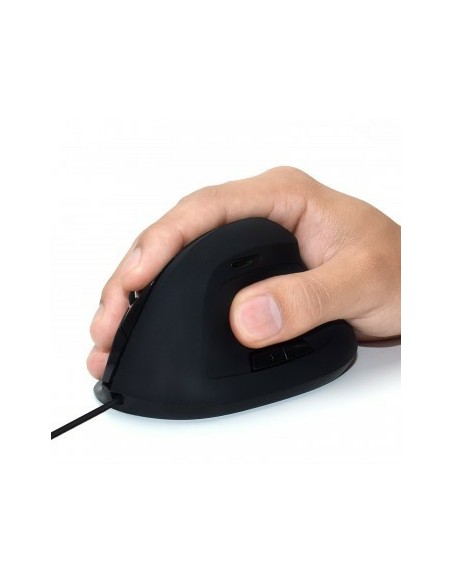EW3157 ratón mano derecha USB tipo A Óptico 1800 DPI EW3157 ratón mano derecha USB tipo A Óptico 1800 DPI