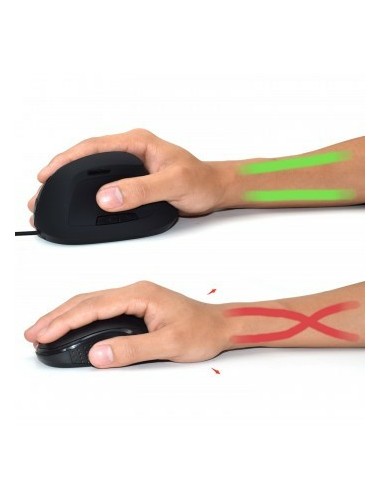 EW3157 ratón mano derecha USB tipo A Óptico 1800 DPI