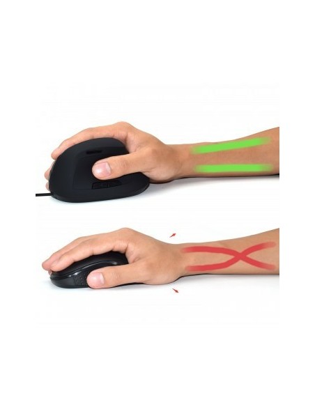 EW3157 ratón mano derecha USB tipo A Óptico 1800 DPI EW3157 ratón mano derecha USB tipo A Óptico 1800 DPI