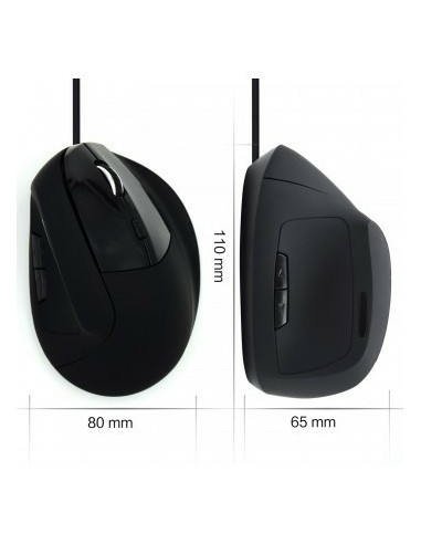 EW3157 ratón mano derecha USB tipo A Óptico 1800 DPI