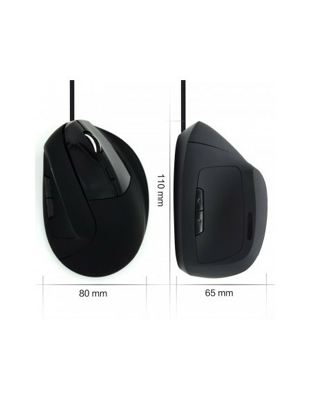 EW3157 ratón mano derecha USB tipo A Óptico 1800 DPI EW3157 ratón mano derecha USB tipo A Óptico 1800 DPI