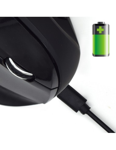 Ratón inalámbrico y ergonómico