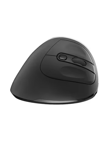 EW3229 ratón mano derecha RF inalámbrico Óptico 2400 DPI