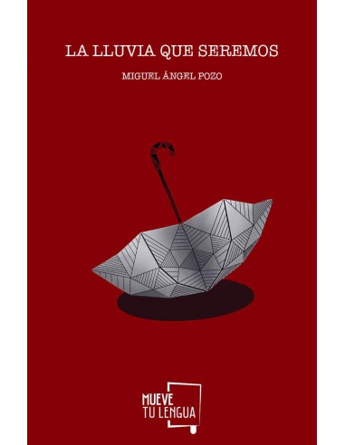 La lluvia que seremos