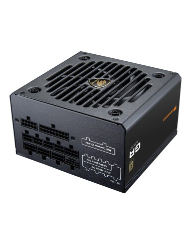 CGRGDN-850 unidad de fuente de alimentación 850 W 20+4 pin ATX ATX Negro