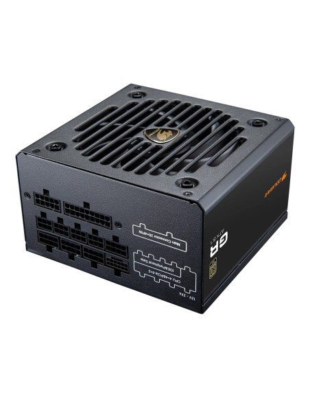 CGRGDN-850 unidad de fuente de alimentación 850 W 20+4 pin ATX ATX Negro