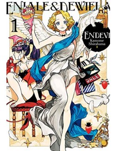 ENDEVI 01