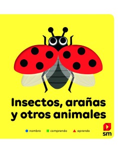 Insectos aranas y otros animales