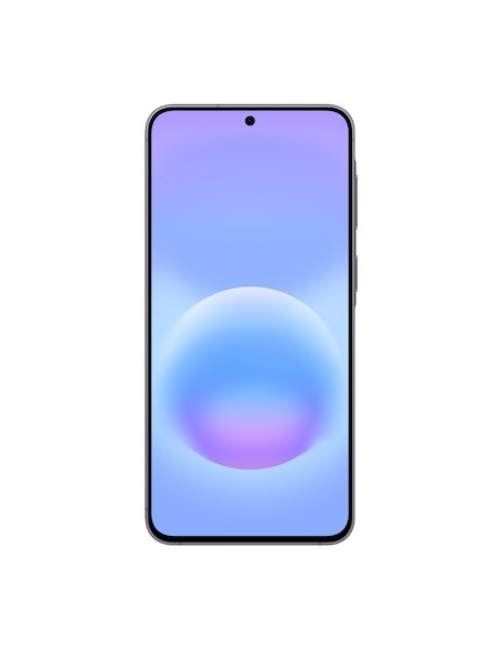 Galaxy A57 5G Enterprise Edition 17 cm (6.7") SIM doble USB Tipo C 8 GB 256 GB 5000 mAh Gris