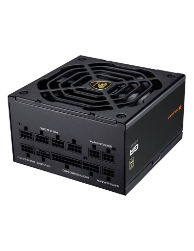 CGRGDN-1000 unidad de fuente de alimentación 1000 W 20+4 pin ATX ATX Negro