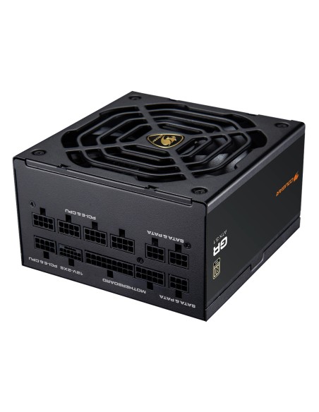 CGRGDN-1000 unidad de fuente de alimentación 1000 W 20+4 pin ATX ATX Negro