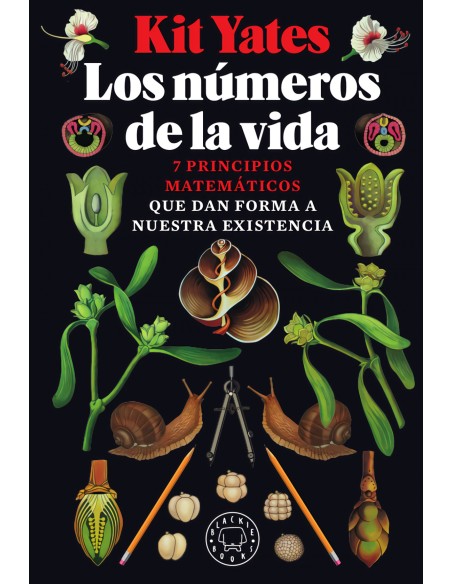 Los numeros de la vida