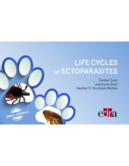 Life Cycles of Ectoparasites in Small Animals