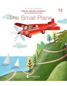 The Small Plane
