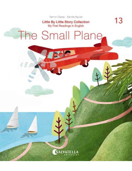 The Small Plane