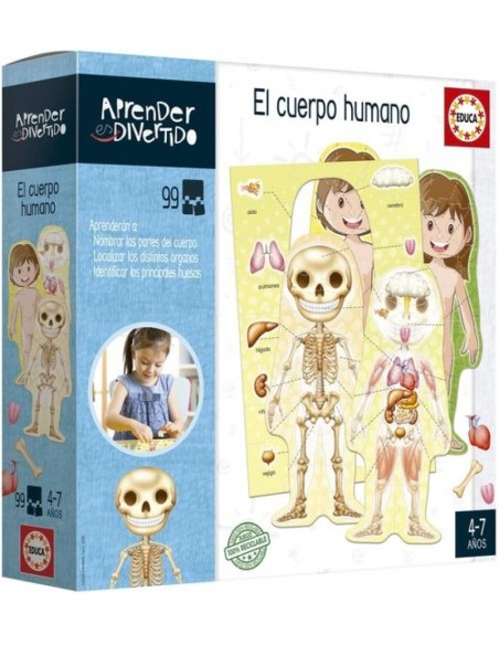 EL CUERPO HUMANO