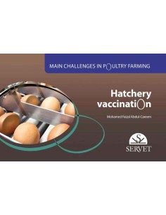 Main challenges in poultry farming Hatchery vaccination