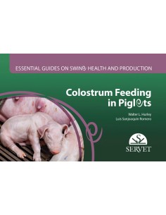 Colostrum Feeding in Piglets