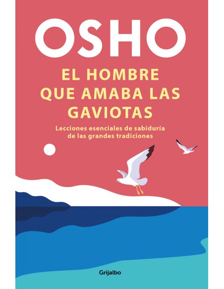 El hombre que amaba las gaviotas