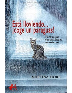 Esta lloviendo coge un paraguas