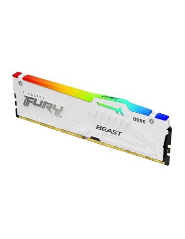 FURY Beast RGB módulo de memoria 16 GB 1 x 16 GB DDR5 ECC