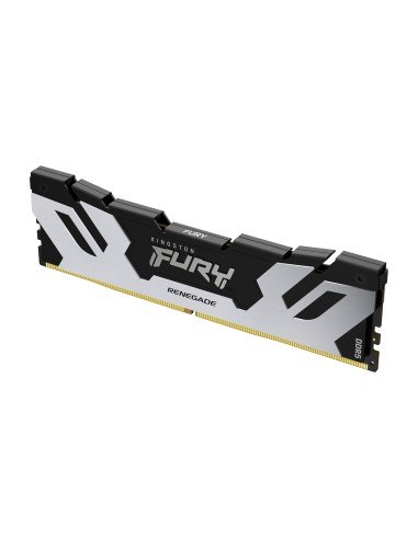 FURY Renegade módulo de memoria 16 GB 1 x 16 GB DDR5