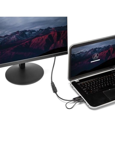 Conversor HDMI a DisplayPort - 4K