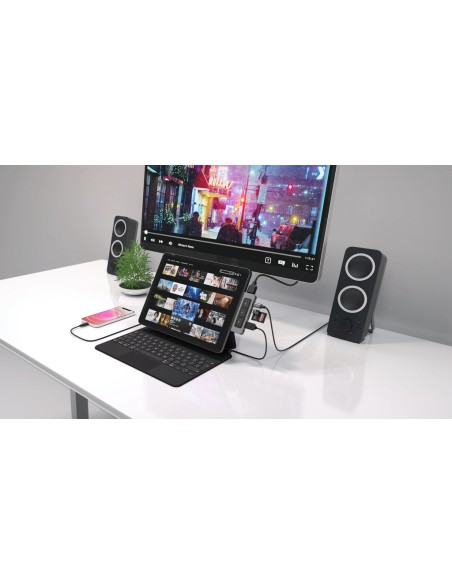 HD449 hub de interfaz USB Tipo C 5000 Mbit/s Plata