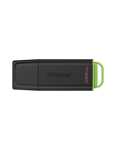 DataTraveler 256GB Portátil USB 3.2 Gen 1 Exodia Negro + Verde