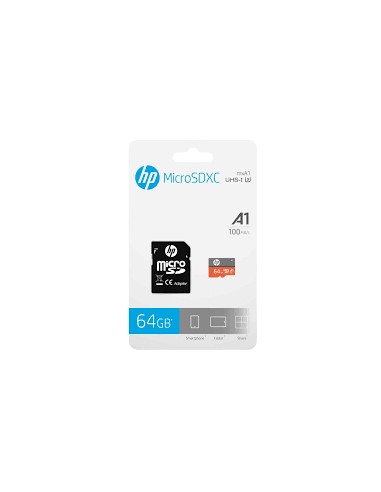 HFUD064-1V31A memoria flash 64 GB MicroSDXC UHS-I Clase 10