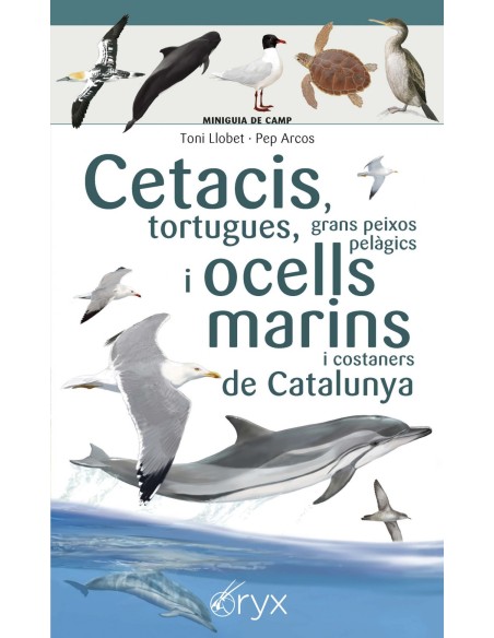 Cetacis tortugues grans peixos pelagics i ocells marins de Catalunya