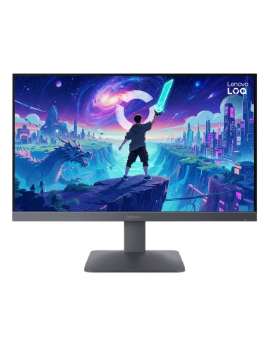 LOQ 24-10 Monitor
