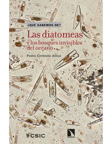 Las diatomeas y los bosques invisibles del oceano