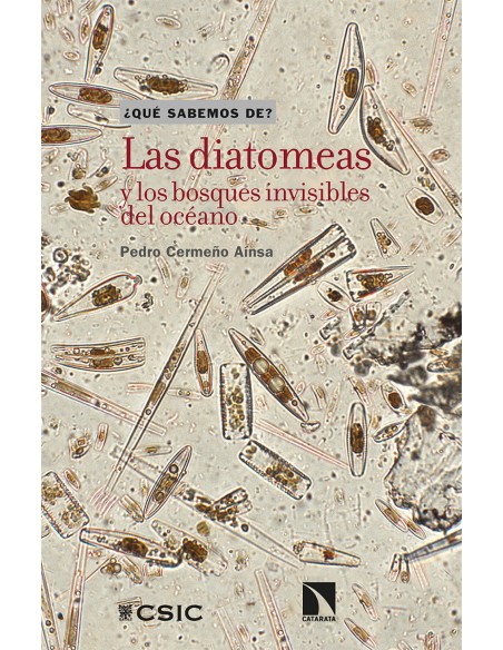 Las diatomeas y los bosques invisibles del oceano