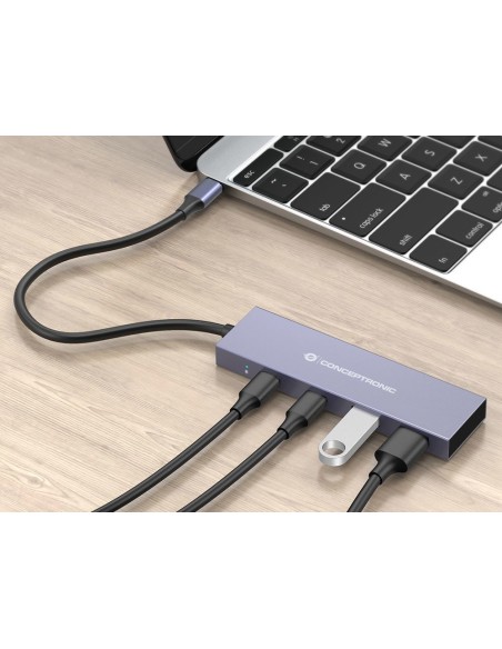 HUBBIES13G hub de interfaz USB 3.2 Gen 2 (3.1 Gen 2) Type-C 10000 Mbit/s Gris