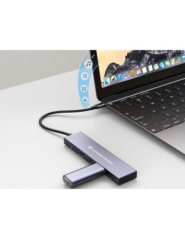 HUBBIES14G hub de interfaz USB 3.2 Gen 2 (3.1 Gen 2) Type-C 10000 Mbit/s Gris