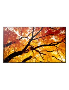 MultiSync M322 Pantalla plana para señalización digital 81,3 cm (32") LCD 550 cd / m² Full HD Negro