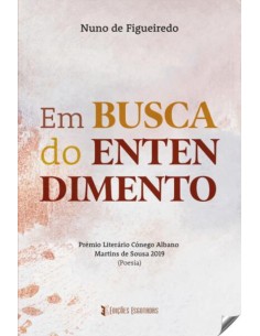 EM BUSCA DO ENTENDIMENTO