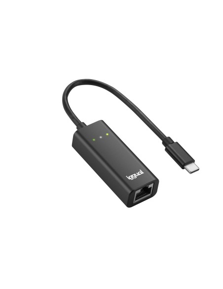 IGG317693 adaptador y tarjeta de red Ethernet 1000 Mbit/s