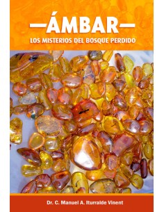 AMBAR LOS MISTERIOS DEL BOSQUE PERDIDO