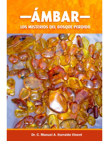 AMBAR LOS MISTERIOS DEL BOSQUE PERDIDO