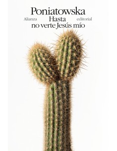 Hasta no verte Jesus mio