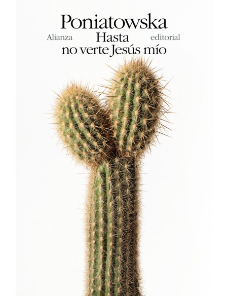 Hasta no verte Jesus mio