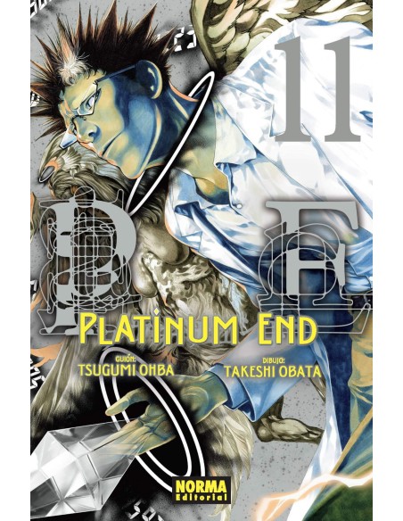 PLATINUM END 11