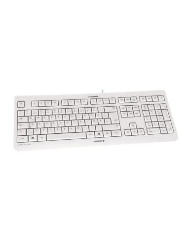 KC 1000 teclado USB Español Gris